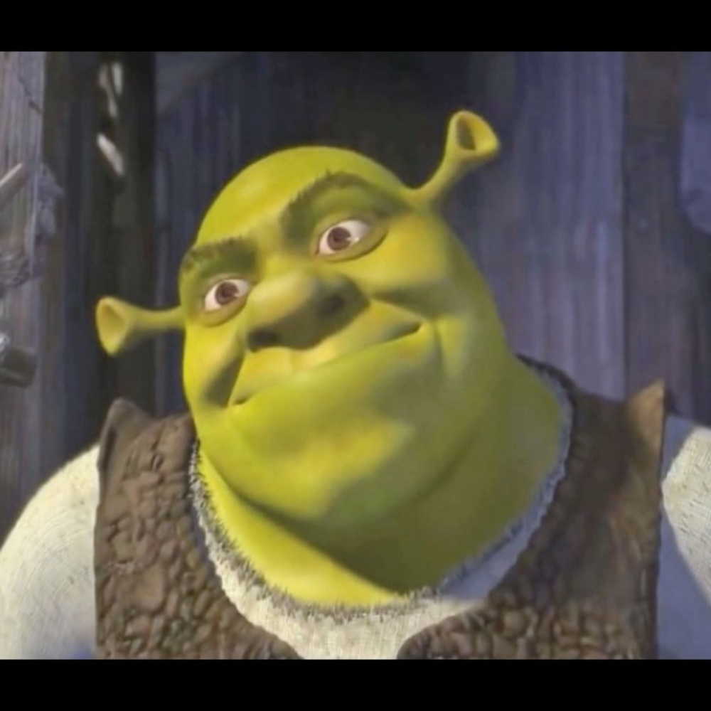 A picture of Shrek